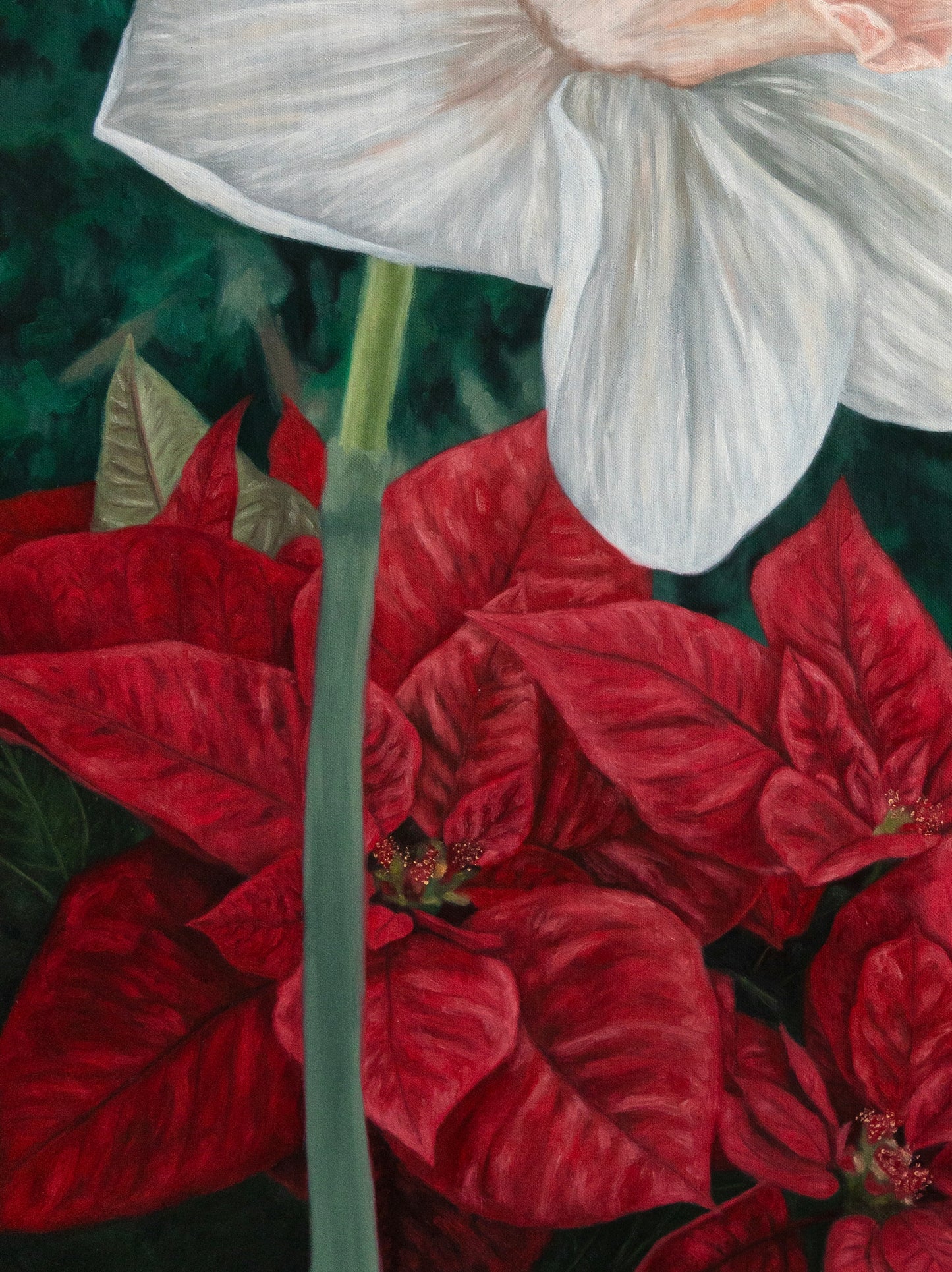 {December} Where the Light of Wonder Is Born | Original